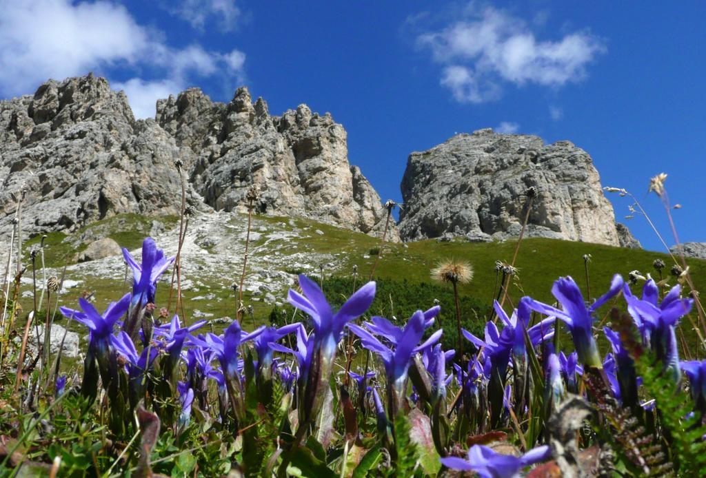 Apartments Mezdi Santa Cristina Val Gardena Екстериор снимка